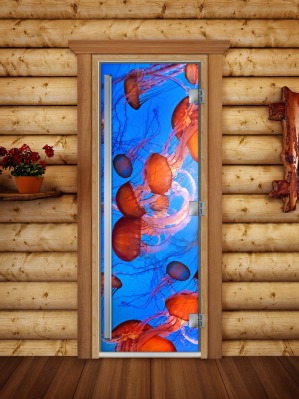 Дверь стеклянная DOORWOOD A088 - вид 2 миниатюра