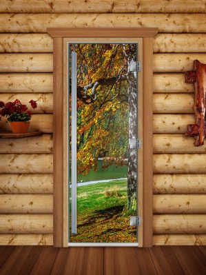 Дверь стеклянная DOORWOOD A089 - вид 2 миниатюра