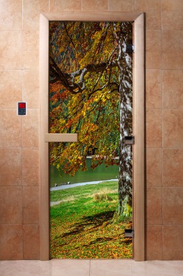 Дверь стеклянная DOORWOOD A089 - вид 1 миниатюра